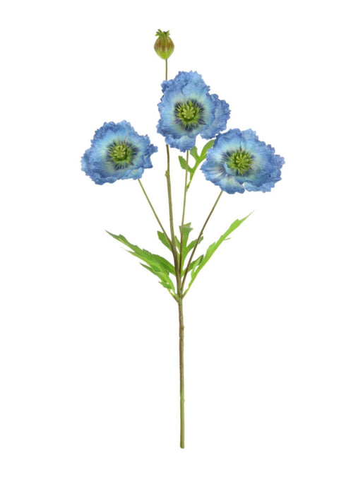 Grand Oriental Poppy