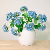 Lace Cap Hydrangea Stem (2 Flower Heads)