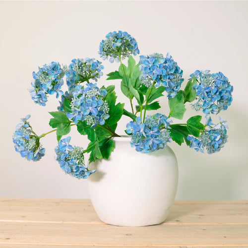 Lace Cap Hydrangea Stem (2 Flower Heads)
