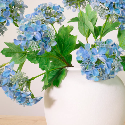 Lace Cap Hydrangea Stem (2 Flower Heads)