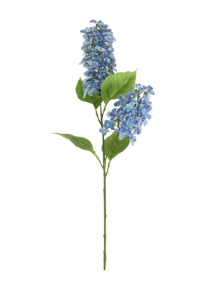 Paniculata Hydrangea Stem (2 Flower Heads)