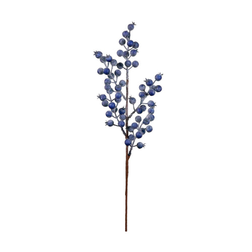 Seasonal Blueberry Stem