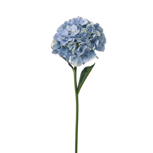 French Hydrangea (short Stem)