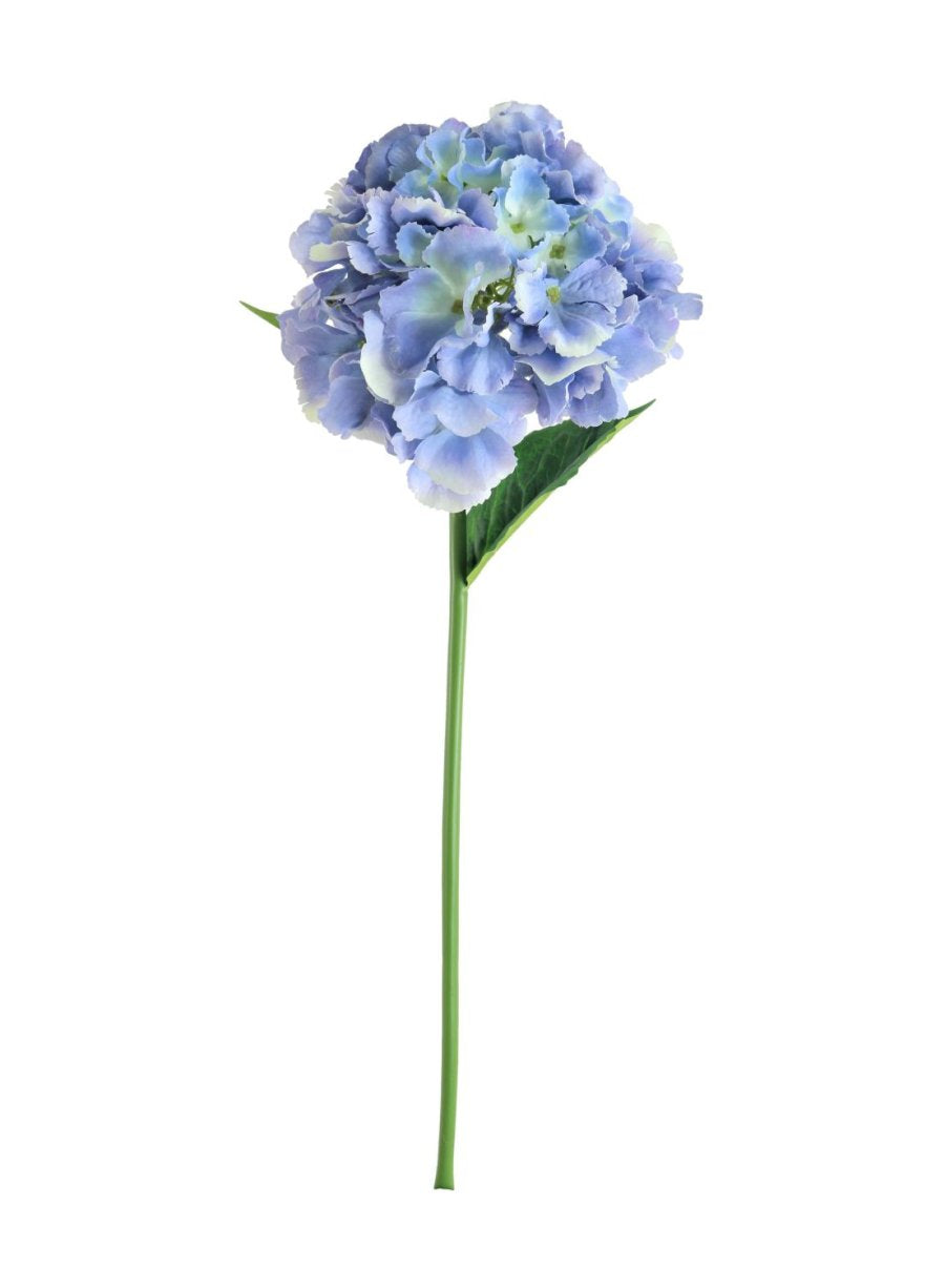 French Hydrangea (short Stem)