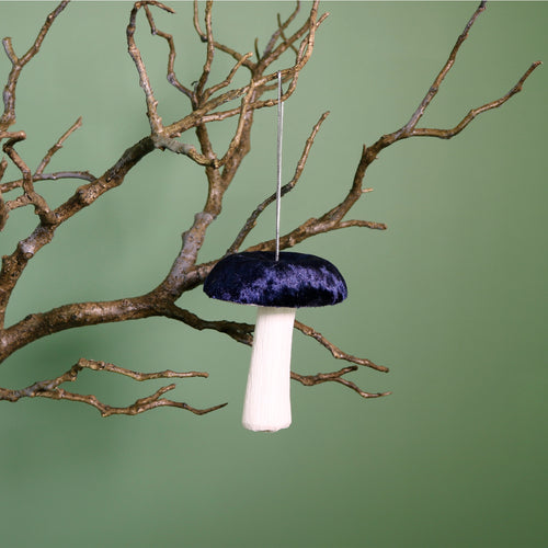 Velvet Hanging Mushroom