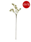 Xmas Hawthorn Tall Berry Sprig