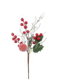 Festive Small Fruit Pic