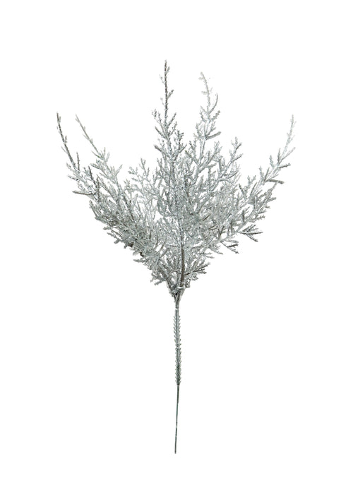 Xmas Metallic Conifer