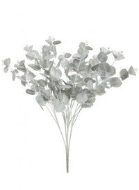 Eucalyptus Bunch (Short Stem)