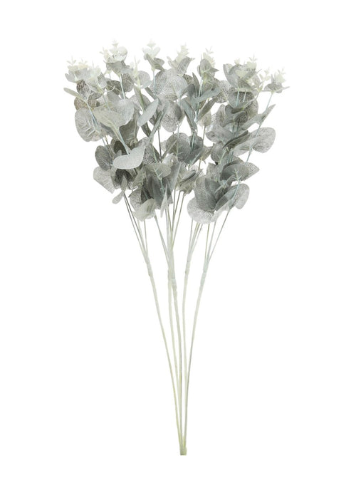 Eucalyptus Bunch (Long Stem)