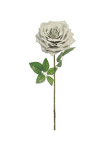 Marie Rose (short Stem)