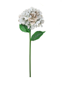 French Hydrangea (short Stem)