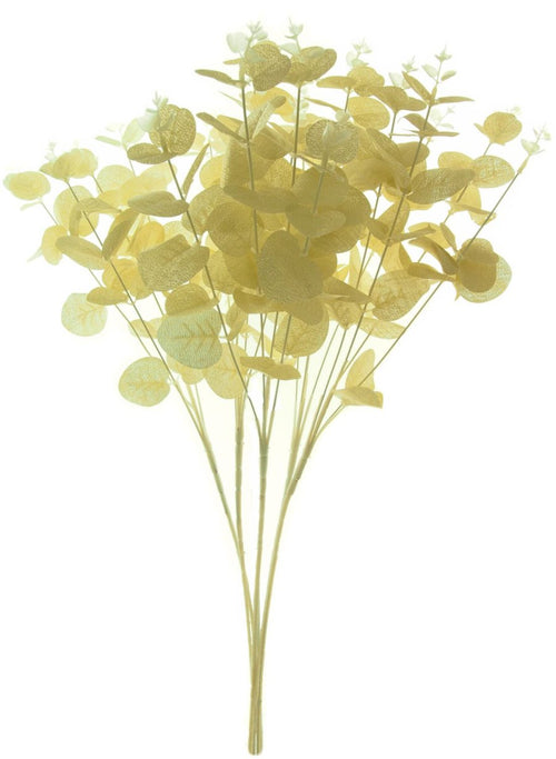 Eucalyptus Bunch (Long Stem)