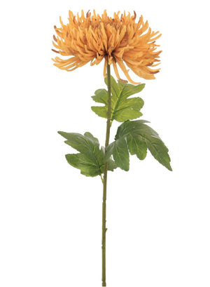 Fuji Mum