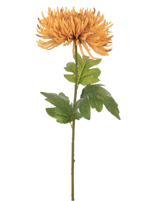 Fuji Mum