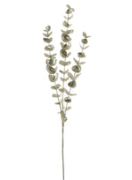 Chrome Eucalyptus Spray
