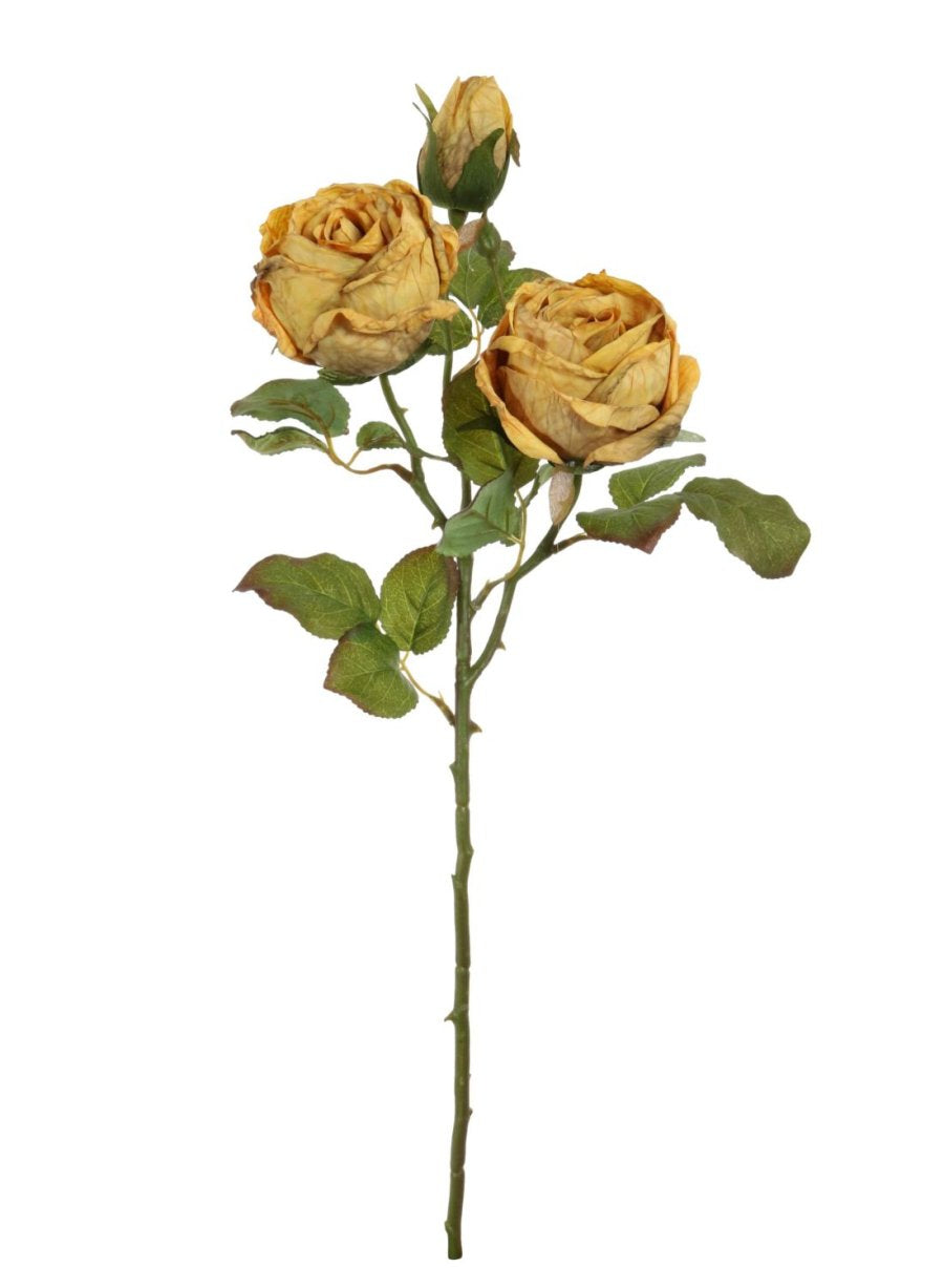 Dried Touch Valera Rose Spray