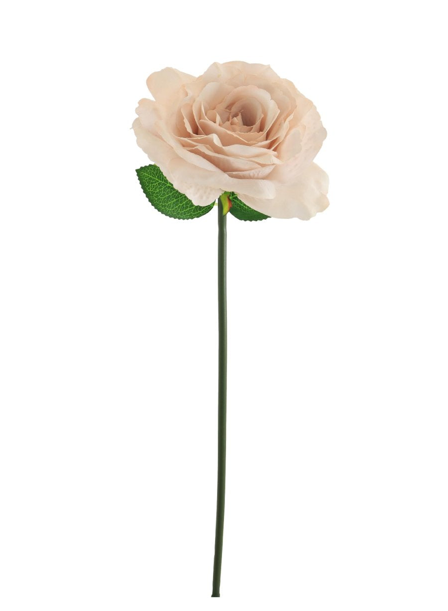 Tudor Rose (Short Stem) Lotus Imports Limited – Lotus Imports Ltd