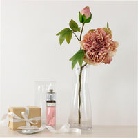 Dried Touch Open Peony
