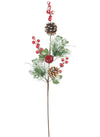 Xmas Frosted Fruit Long Pic