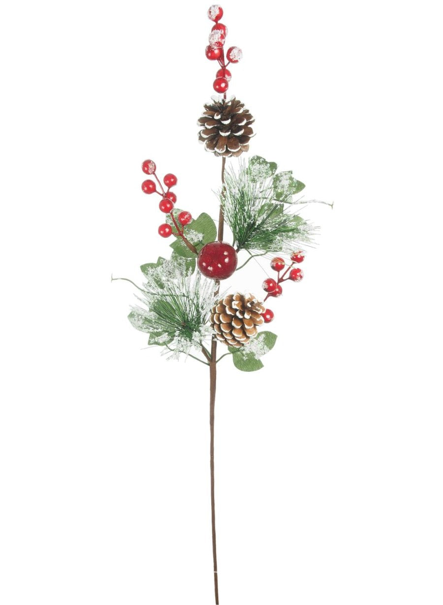 Xmas Frosted Fruit Long Pic