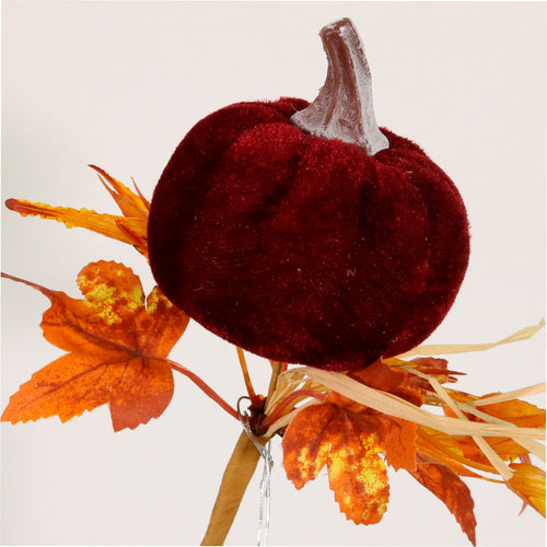 Autumn Wild Velvet Pumpkin (medium)