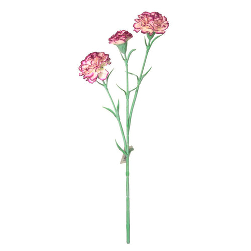 Carnation Stem