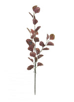 Silver Dollar Eucalyptus Stem (small)
