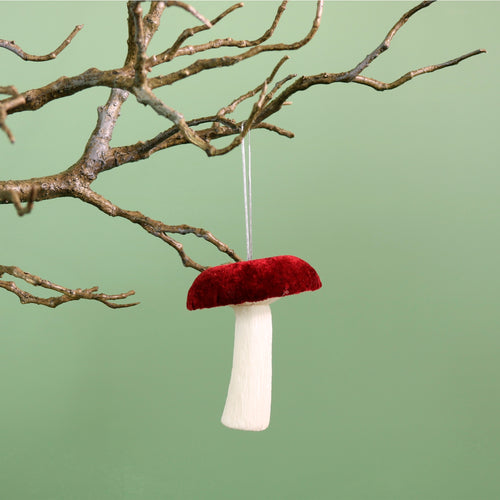 Velvet Hanging Mushroom
