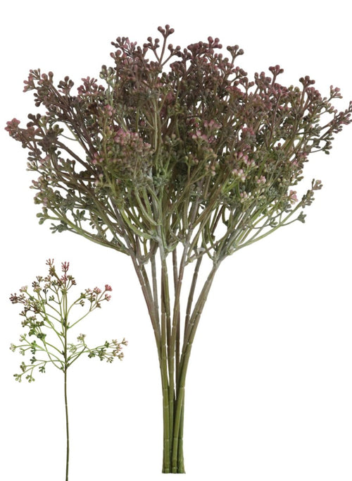 Felicity Bud Sprig (10x Sprigs)