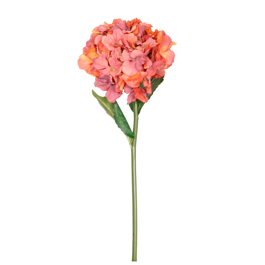 French Hydrangea (short Stem)