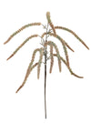 Xmas Glittered Amaranthus