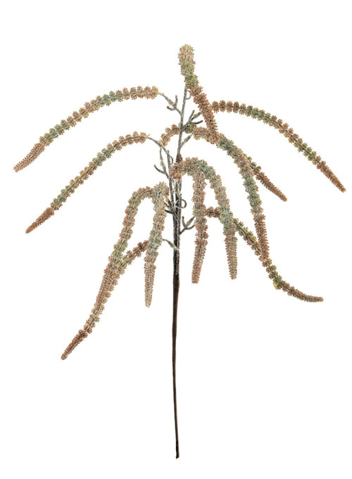 Xmas Glittered Amaranthus