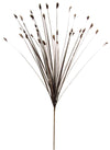 Tipped Grass