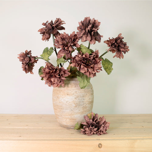 Dried Touch Ruffled Dahlia