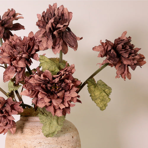 Dried Touch Ruffled Dahlia