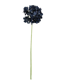 Hydrangea (thin Stem)