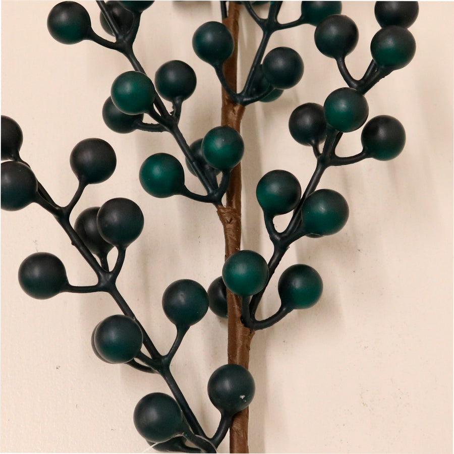 Seasonal Berry Pic