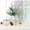 Winter Premium Blue Mountains Pic No:01