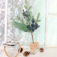Winter Premium Blue Mountains Pic No:01
