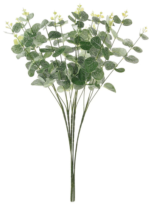 Eucalyptus Bunch (Long Stem)