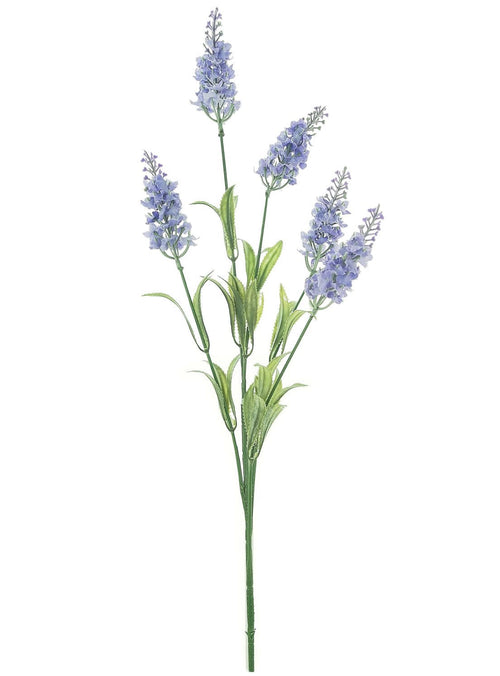 Lavender Spray