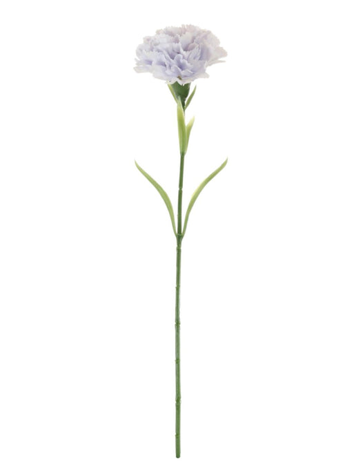 Carnation Stem