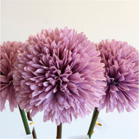 Allium Pom Pom