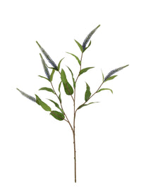 Veronica Spray