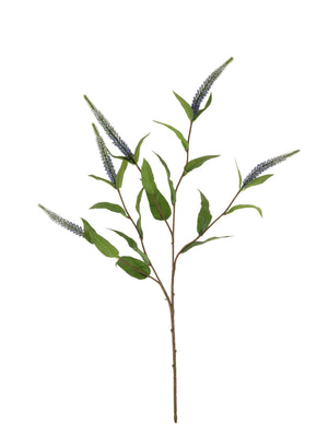Veronica Spray