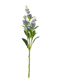 Wild Meadow Spray