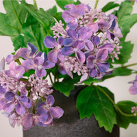 Lace Cap Hydrangea Stem (2 Flower Heads)