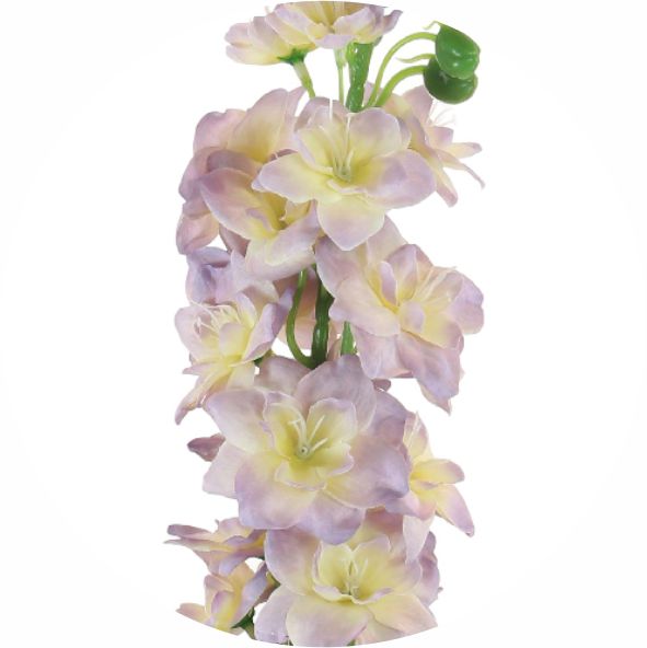 Large Stock Flower