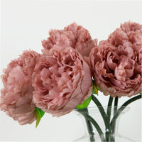 Peony Short Stem
